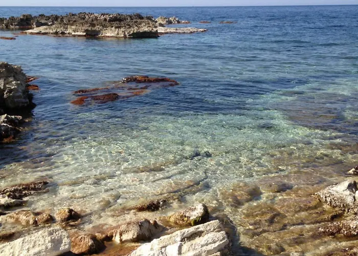 Saraceni